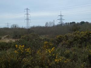 Pylons across the Moor