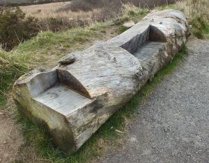 Bench on the Goss Moor Trail - an interesting and sustainable use of a felled tree