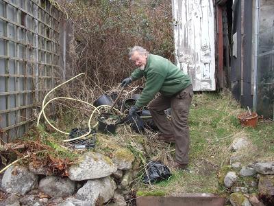 Weeds and Waistlines, Signs of Spring!