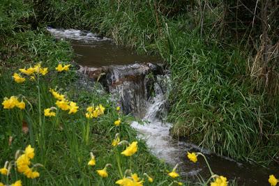 Weeds and Waistlines, Signs of Spring!