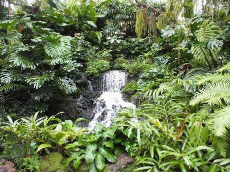 Escape in the Jungle at Singapore Botanic Gardens