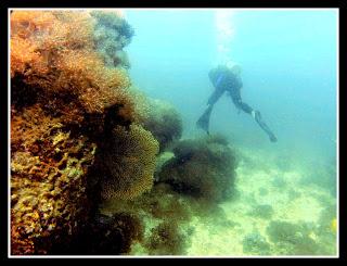 Breathtaking Sambawan Island, Biliran