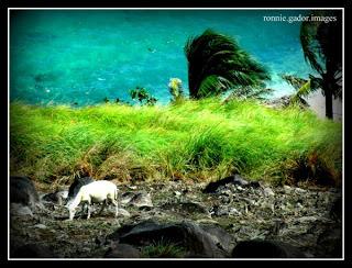 Breathtaking Sambawan Island, Biliran