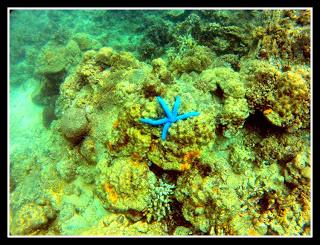 Breathtaking Sambawan Island, Biliran