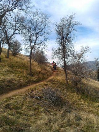 Go up the hill: you will find friends in the meadow, waiting for you.