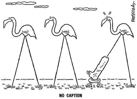 cartoon showing three lawn ornaments pink flamingos and one has his leg in a cast no caption