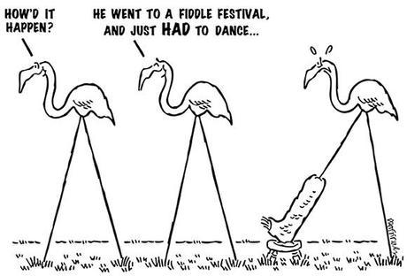 cartoon showing three lawn ornaments pink flamingos one has his leg in a cast how did it happen he went to fiddle festival and just had to dance broke his leg