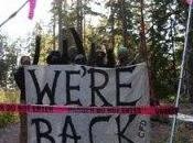 Forest Defense Oregon Faces Chilling State Repression