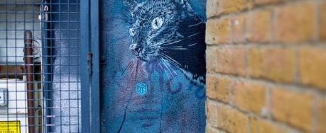French stencil artist C215′s cat art in East London