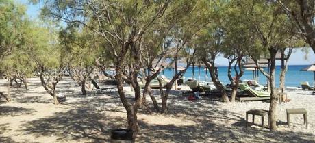 Doryssa Seaside Resort & Village, Samos Greece - Beach