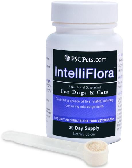 IntelliFlora {Review}