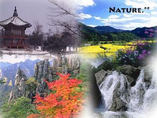 Korea's 4 Seasons