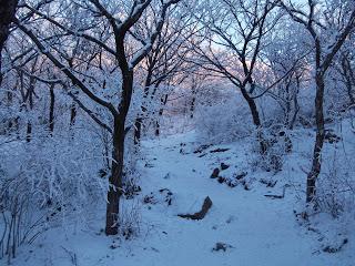 Korea's 4 Seasons