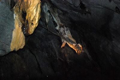 Puerto Princesa Underground River