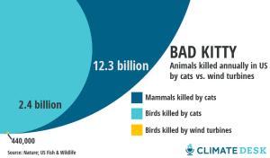 birds-turbines-graph-630