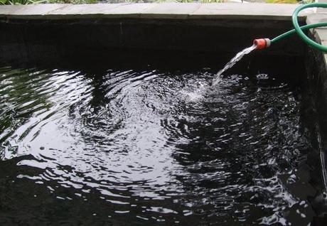 After Three Days, Almost Three Years