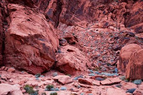 moon over the valley valley of fire 2013
