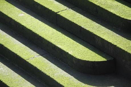 In and Around London... Green London For St Patrick!