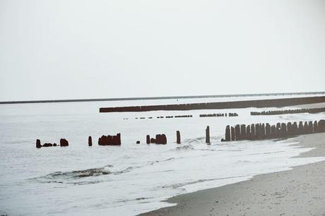 Frolicking Jersey Shore