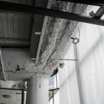 Táňa Kmenta Hair Studio by Studio Muon