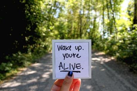 alive-nature-outdoors-quote-quotes-Favim.com-452965