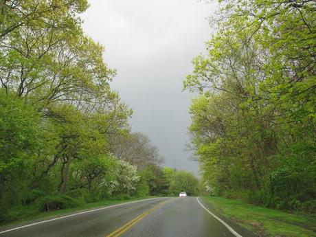 Spring-Rain-at-Bethpage-State-Park-in-Farmingdale