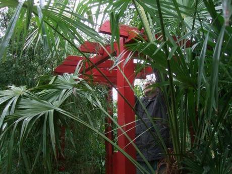 Something Old, Something New.... Something Old, Something New....