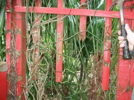 Something Old, Something New.... Something Old, Something New....