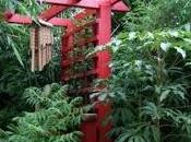 Something Old, New....