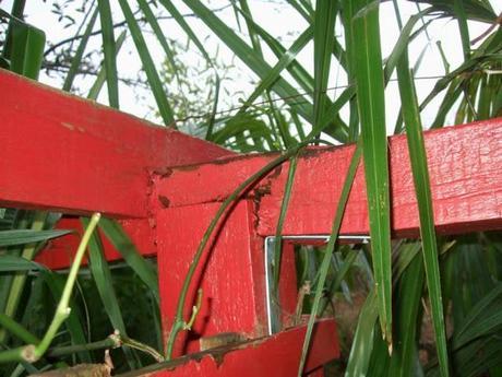 Something Old, Something New.... Something Old, Something New....