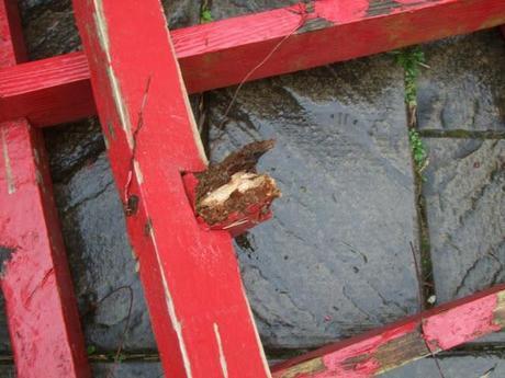 Something Old, Something New.... Something Old, Something New....