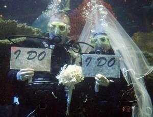 Silverton Underwater Wedding 1
