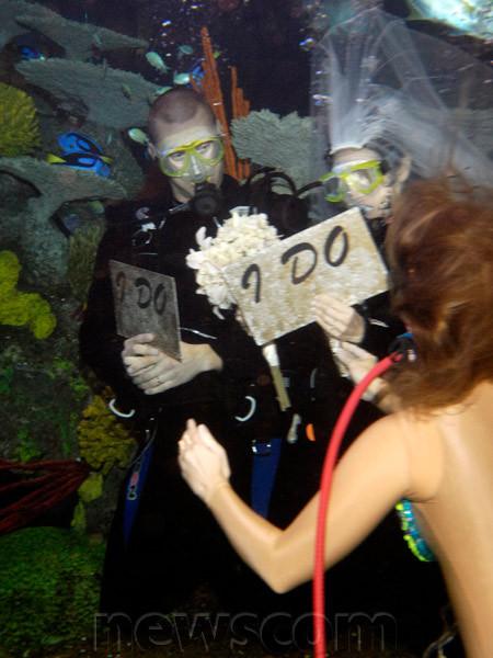 Silverton Underwater Wedding 2