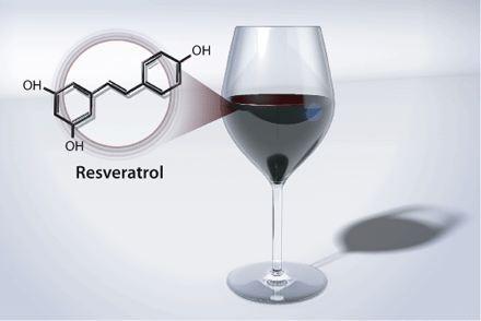 Anti-aging drugs - Clarification on Resveratrol and SIRT1 activators