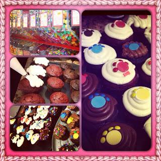 #OSPCA #Cupcake #Day #Raised #Money for less fortunate #Pets