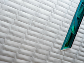 Photographer Focus: Rebecca Daniels