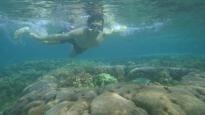 Underwater in Dumaguete