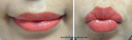 shu uemura lipsticks (8) CR330