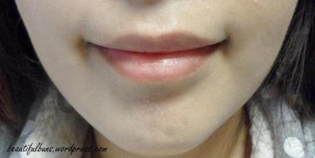 shu uemura lipsticks (4) no lipstick