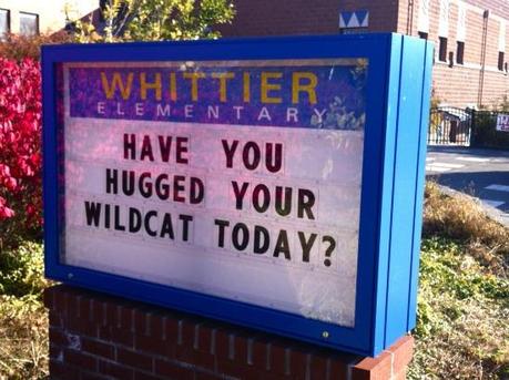 Street Feet: Have You Hugged Your Wildcat?