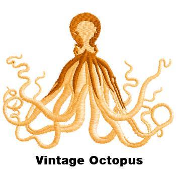 octopus