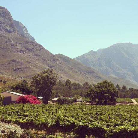 My South African Wine Road