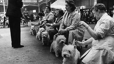 Travel Back in Time to the WORLD'S Largest DOG Show!