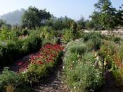 Inspirational Backyards