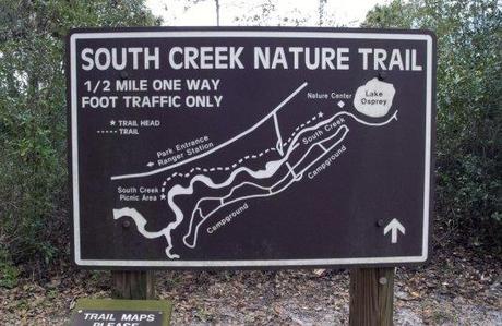 9  590x348 south creek trail Oscar Scherer State Park, hiking Florida style
