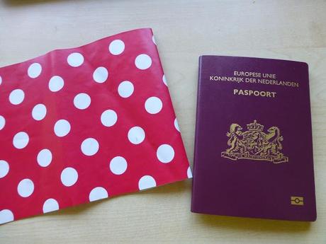 DIY Passport Cover