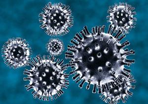 novel coronavirus