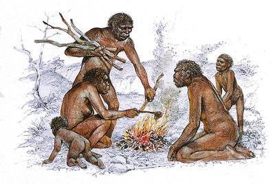 Early Human Ancestor Surprisingly Smart Early Human Ancestor Surprisingly Smart