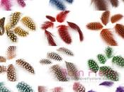 Fancy Feather Nail Decoration from Born Pretty Store