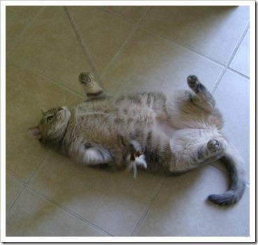 It’s (not) Complicated